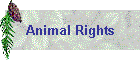 Animal Rights